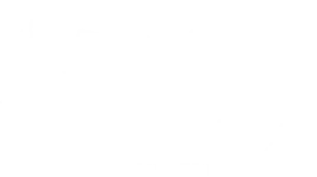 Projekt: Community LENZ Film Festival - Official Selection 2023